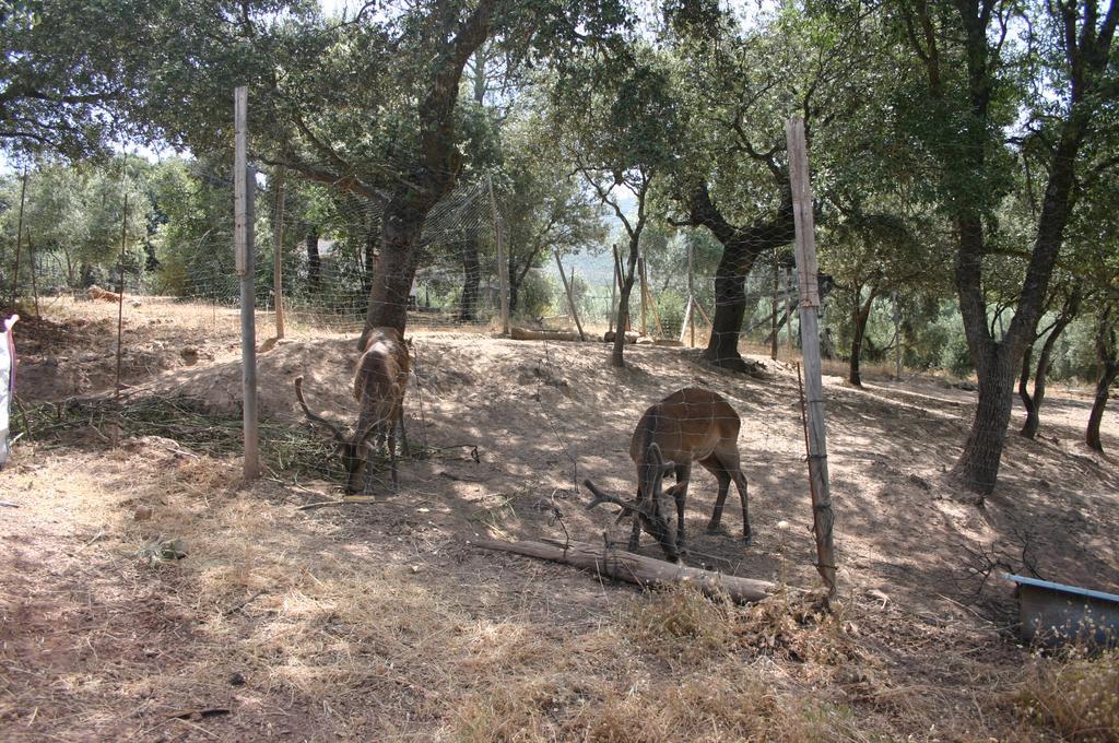Casas Rurales La Loma Del Carrascal Hornos Zewnętrze zdjęcie