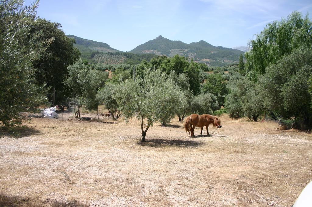 Casas Rurales La Loma Del Carrascal Hornos Zewnętrze zdjęcie