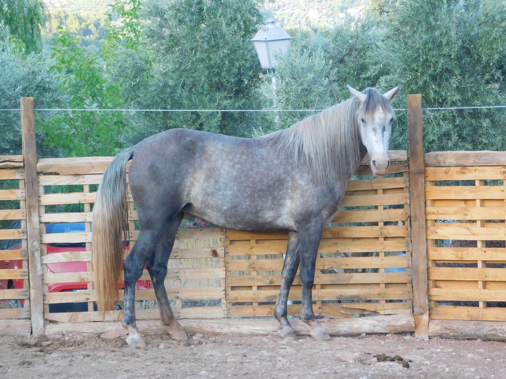 Casas Rurales La Loma Del Carrascal Hornos Zewnętrze zdjęcie