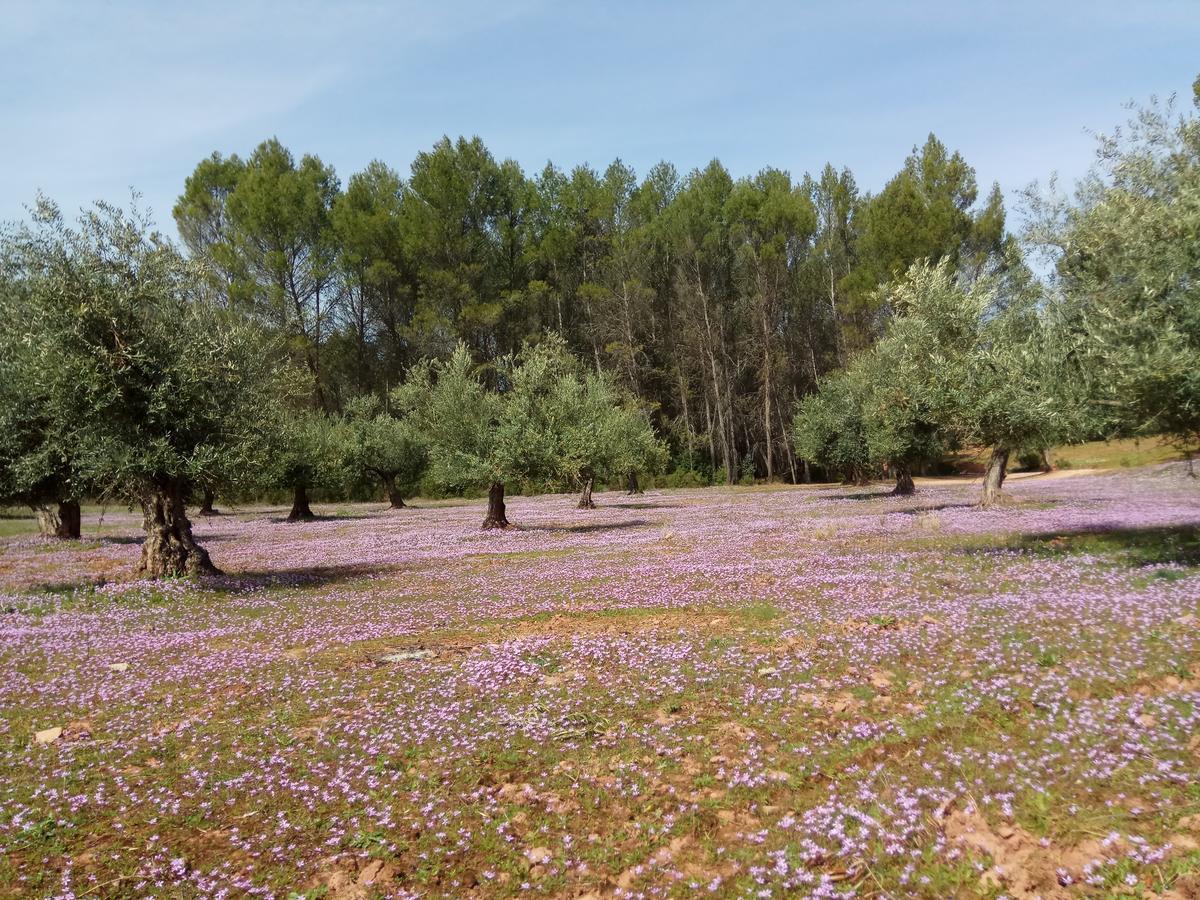 Casas Rurales La Loma Del Carrascal Hornos Zewnętrze zdjęcie